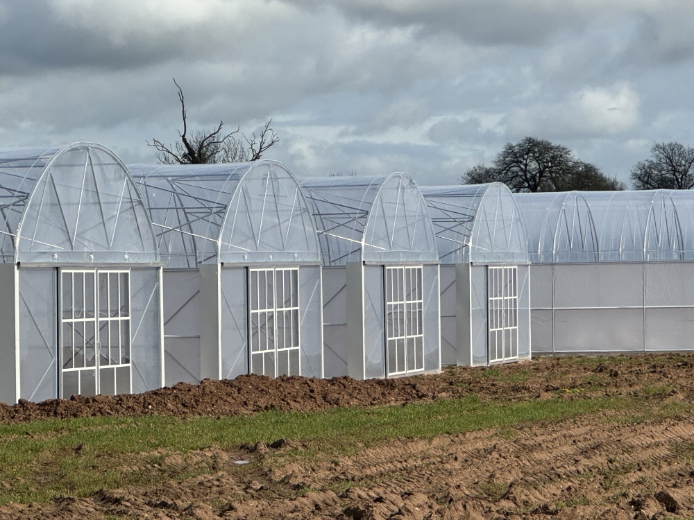 Polytunnel