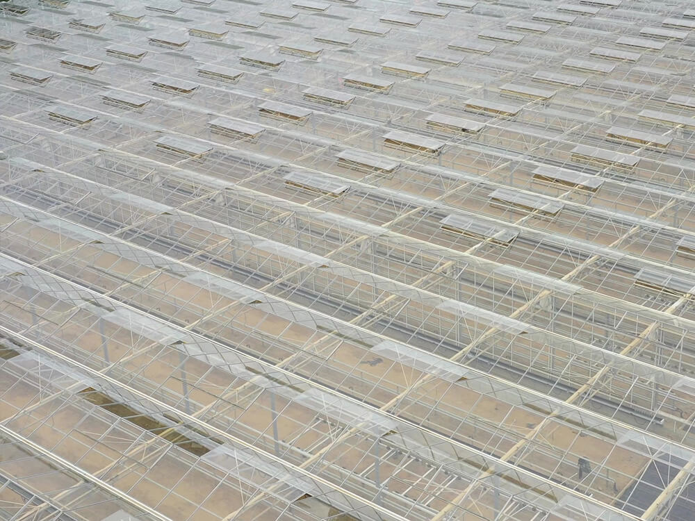 New Glasshouses