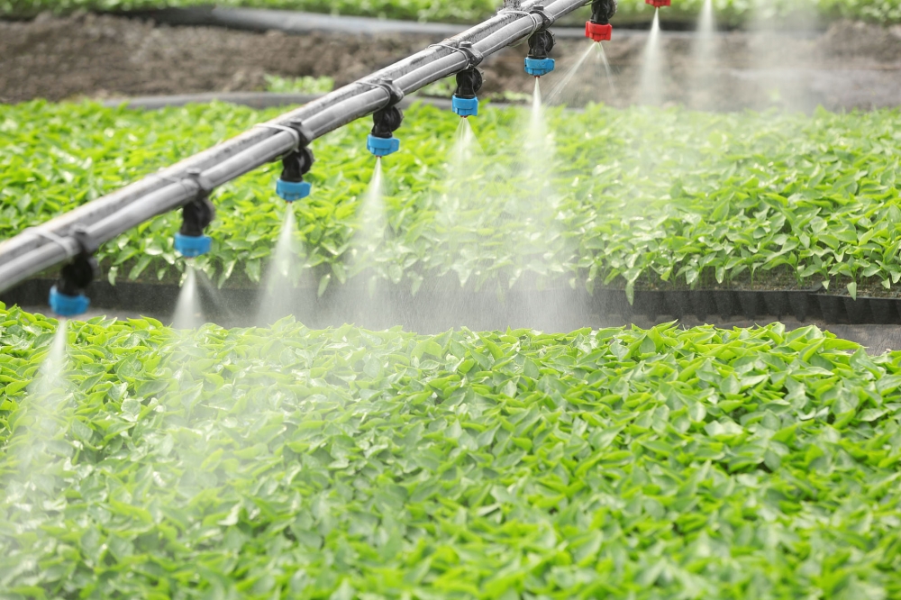 Irrigation Fogging