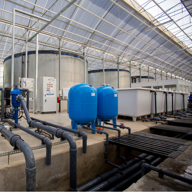 Irrigation Fogging