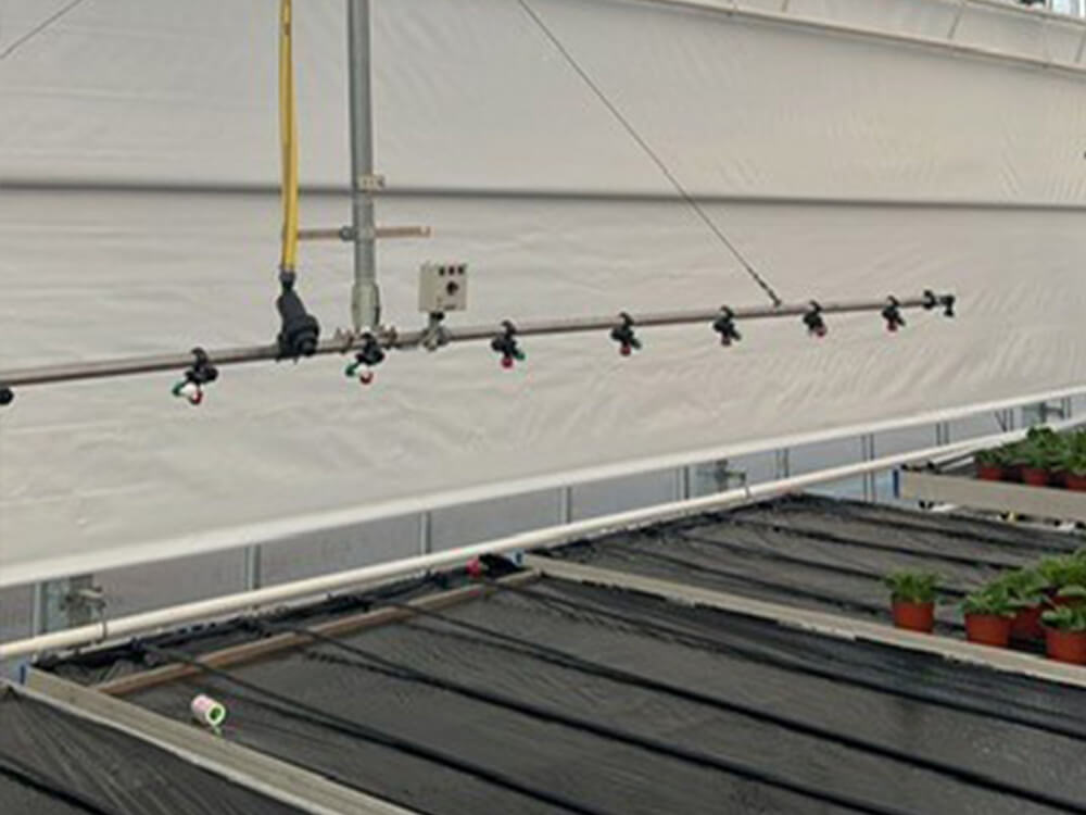 Irrigation Fogging