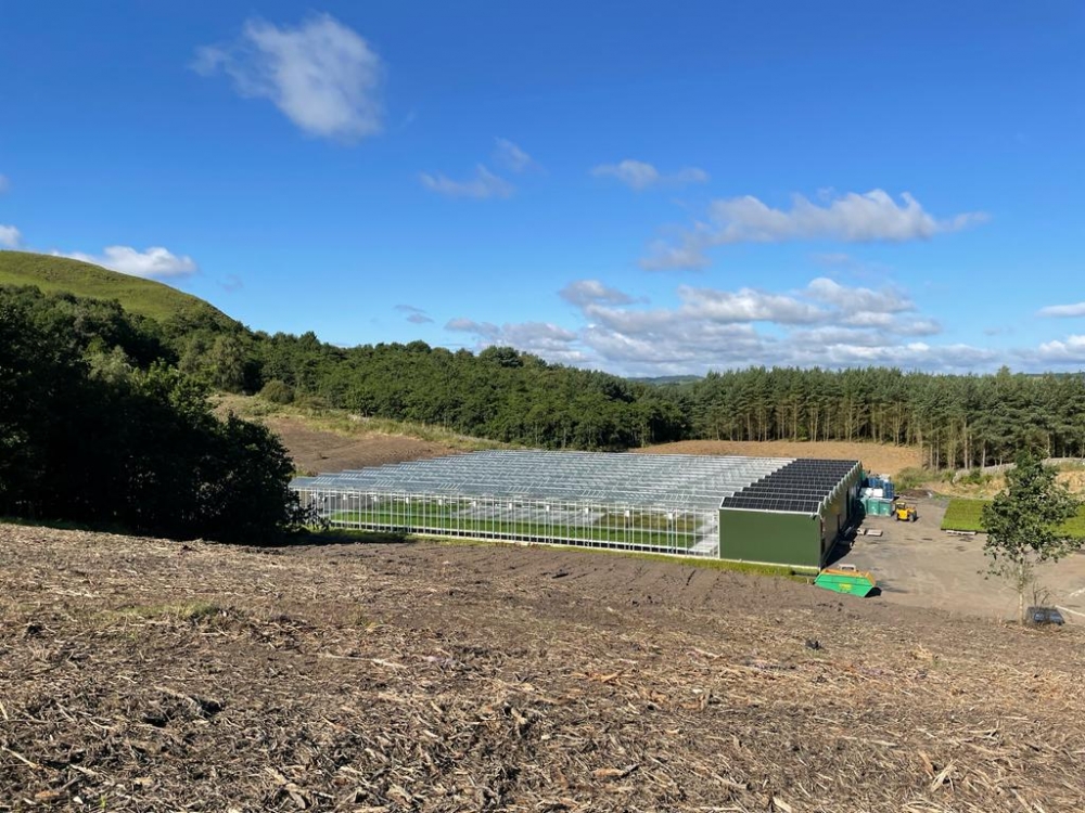 New Glasshouses