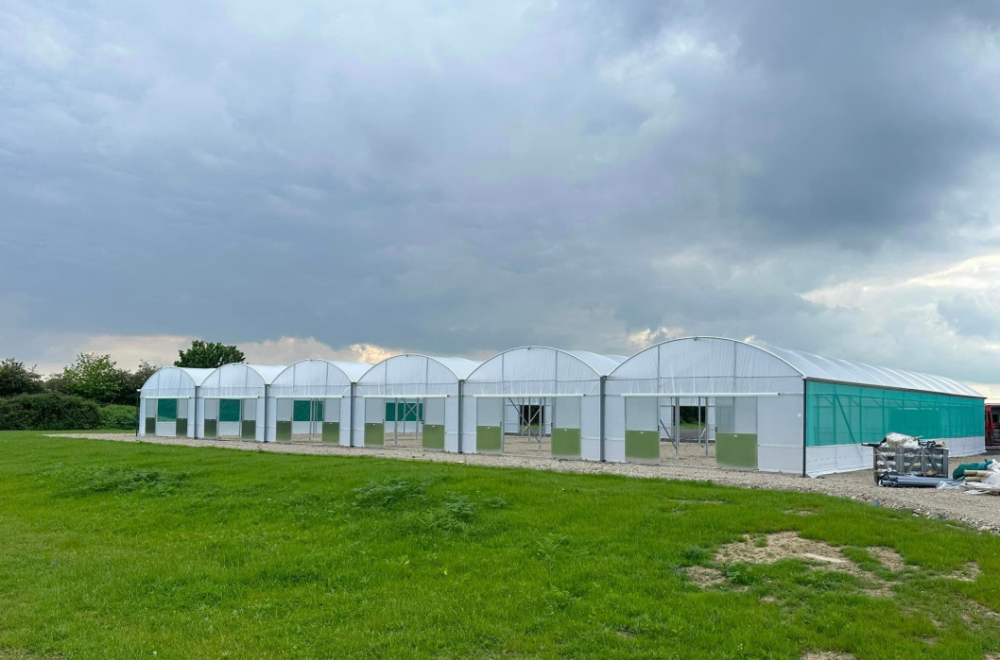 Polytunnel