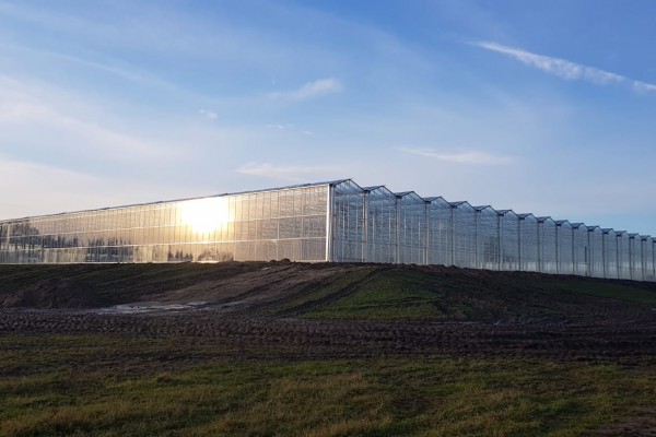 Used Glasshouses